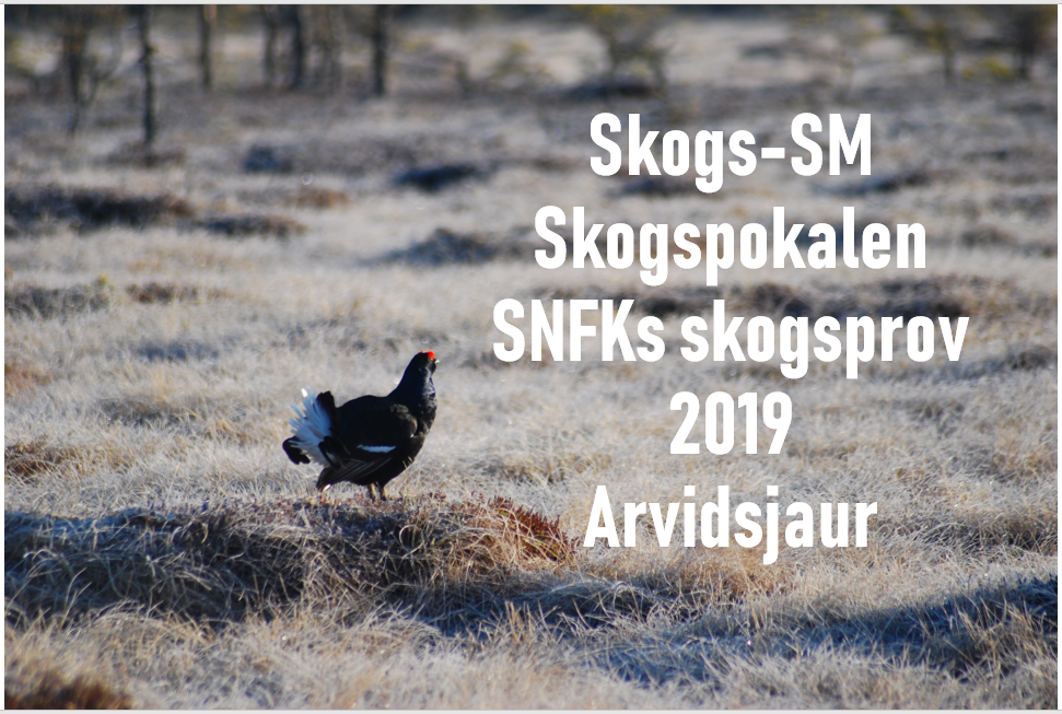 Skogsprov 2019 bild