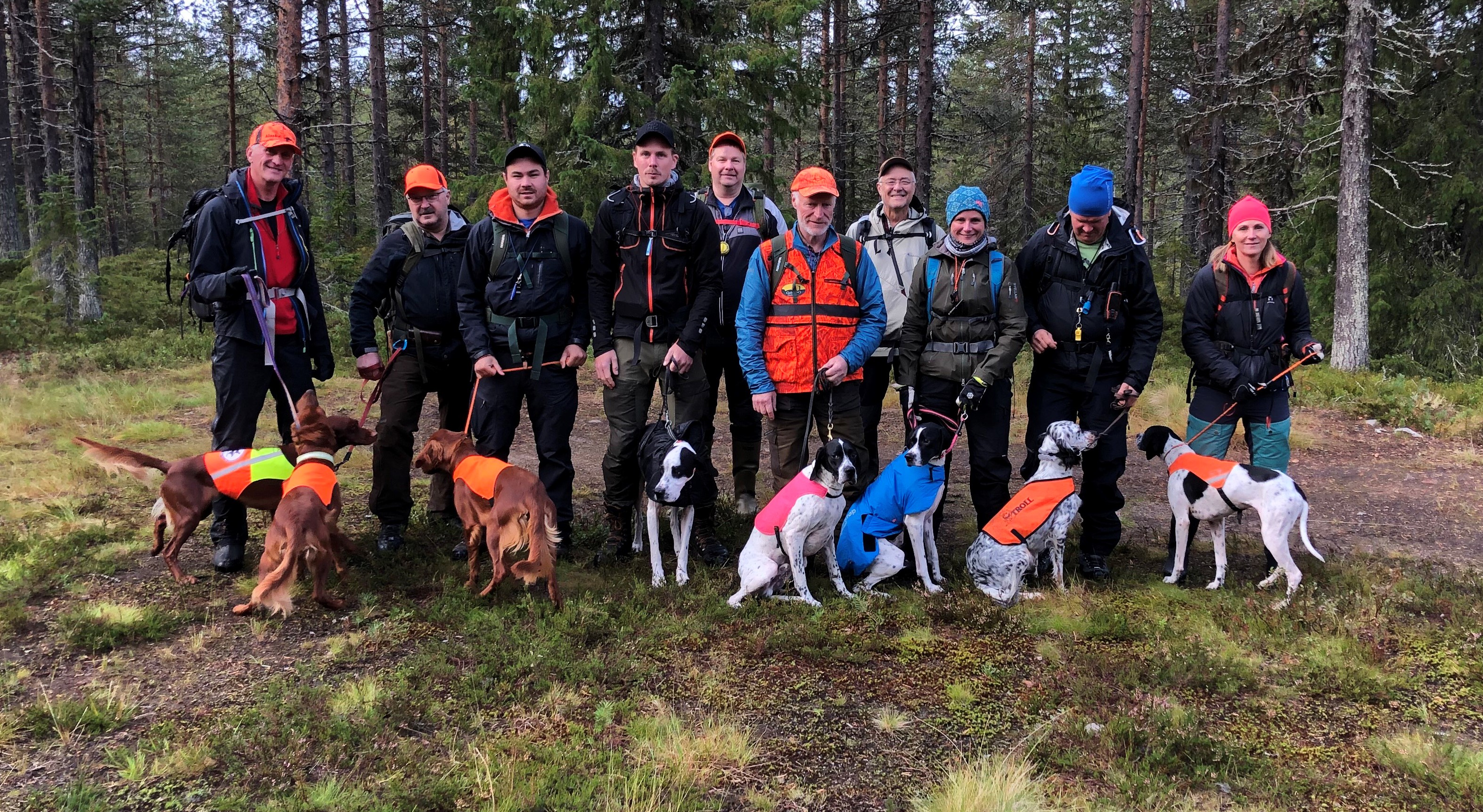 Startgrupp Skogspokal 2019