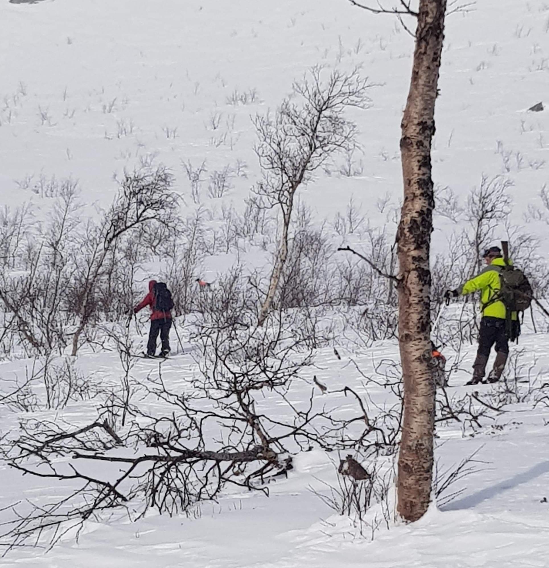 Fjällbild från parti