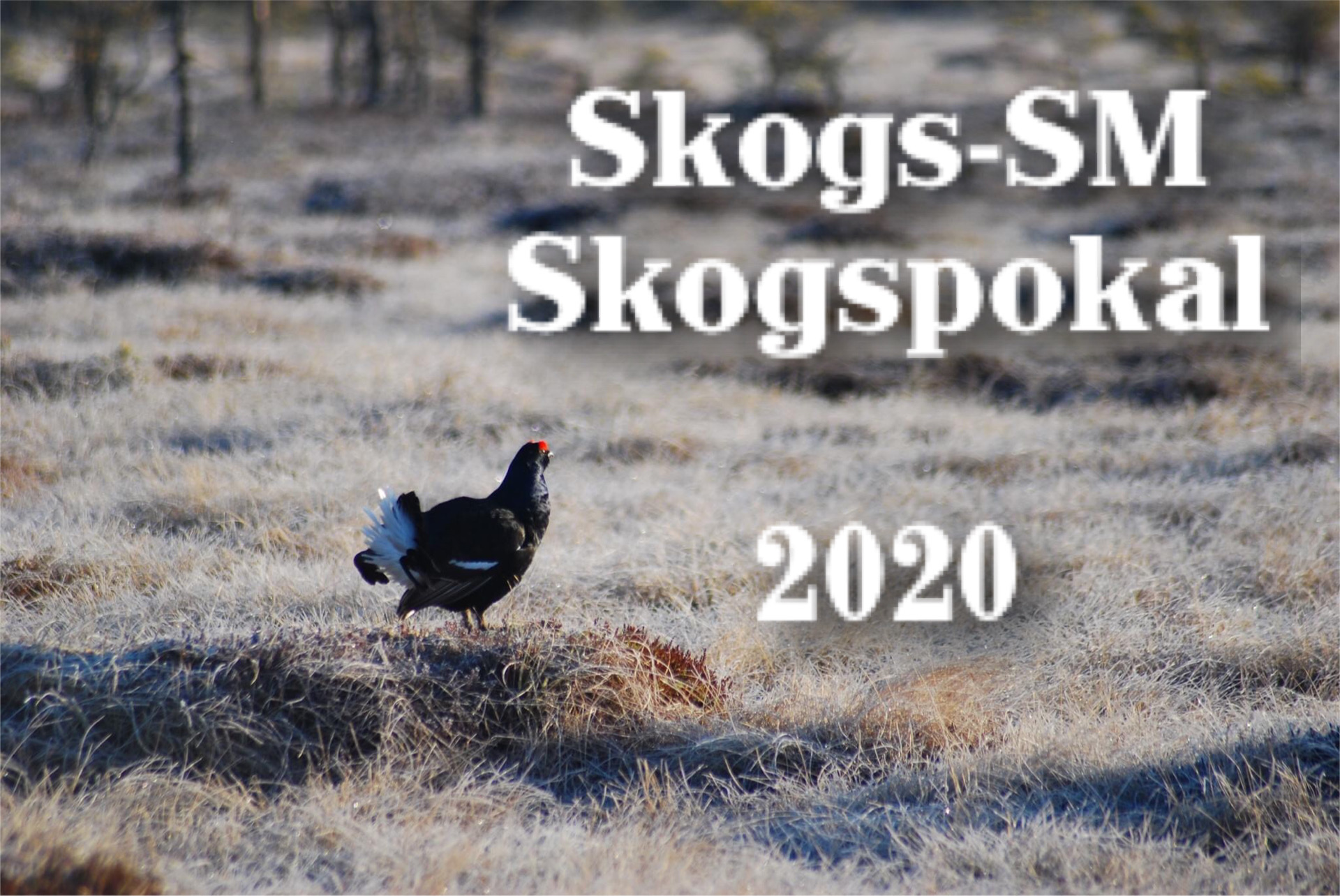 Skogs-SM_Skogspokal 2020