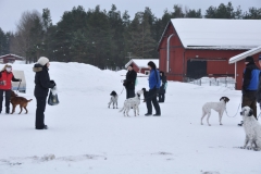 Träningsdag feb 2011